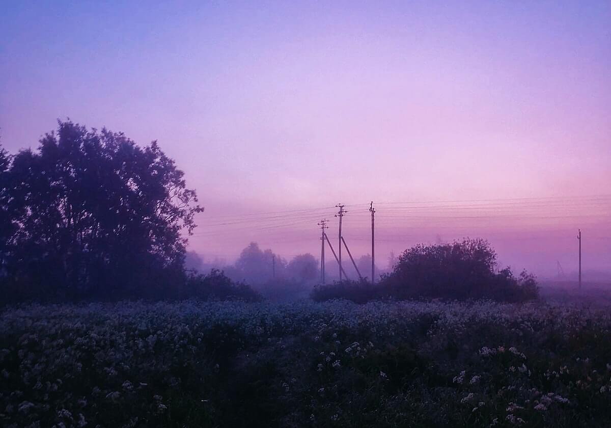 开云官网——引领云端新变革的数字入口